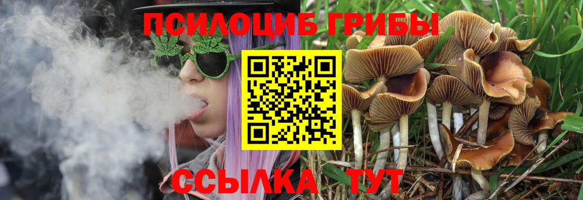 Галлюциногенные грибы Magic Shrooms Иваново